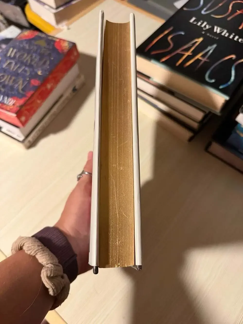 Bitten (Target Exclusive Edition) by Jordan Stephanie Gray Hardcover